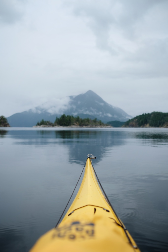 beginner-friendly kayaking trip